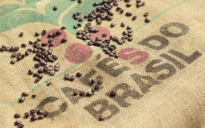 A taste of the best coffees in the world